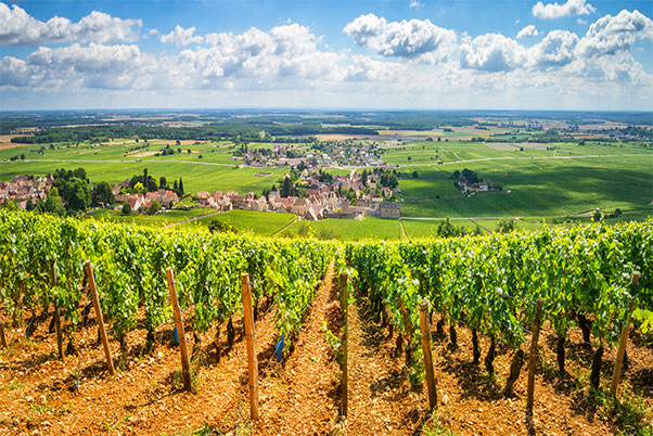 Découvrez la région Bourgogne Franche Comté